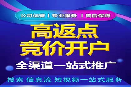 SEM推广案例：行业竞争分析